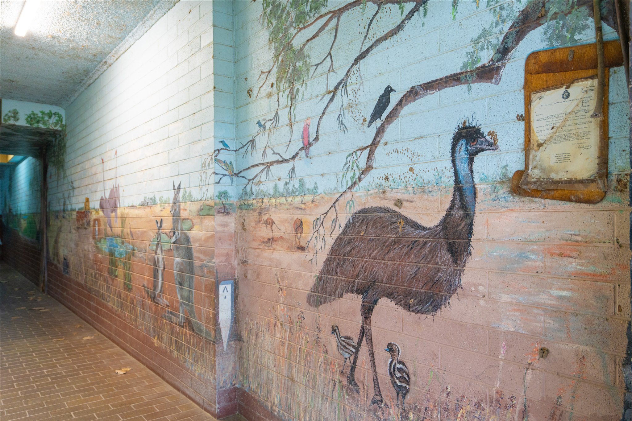 Emu in mural on wall in arcade