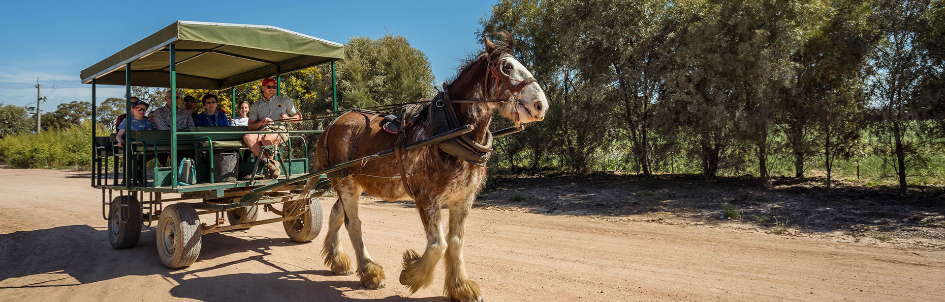 Horse drawn cart