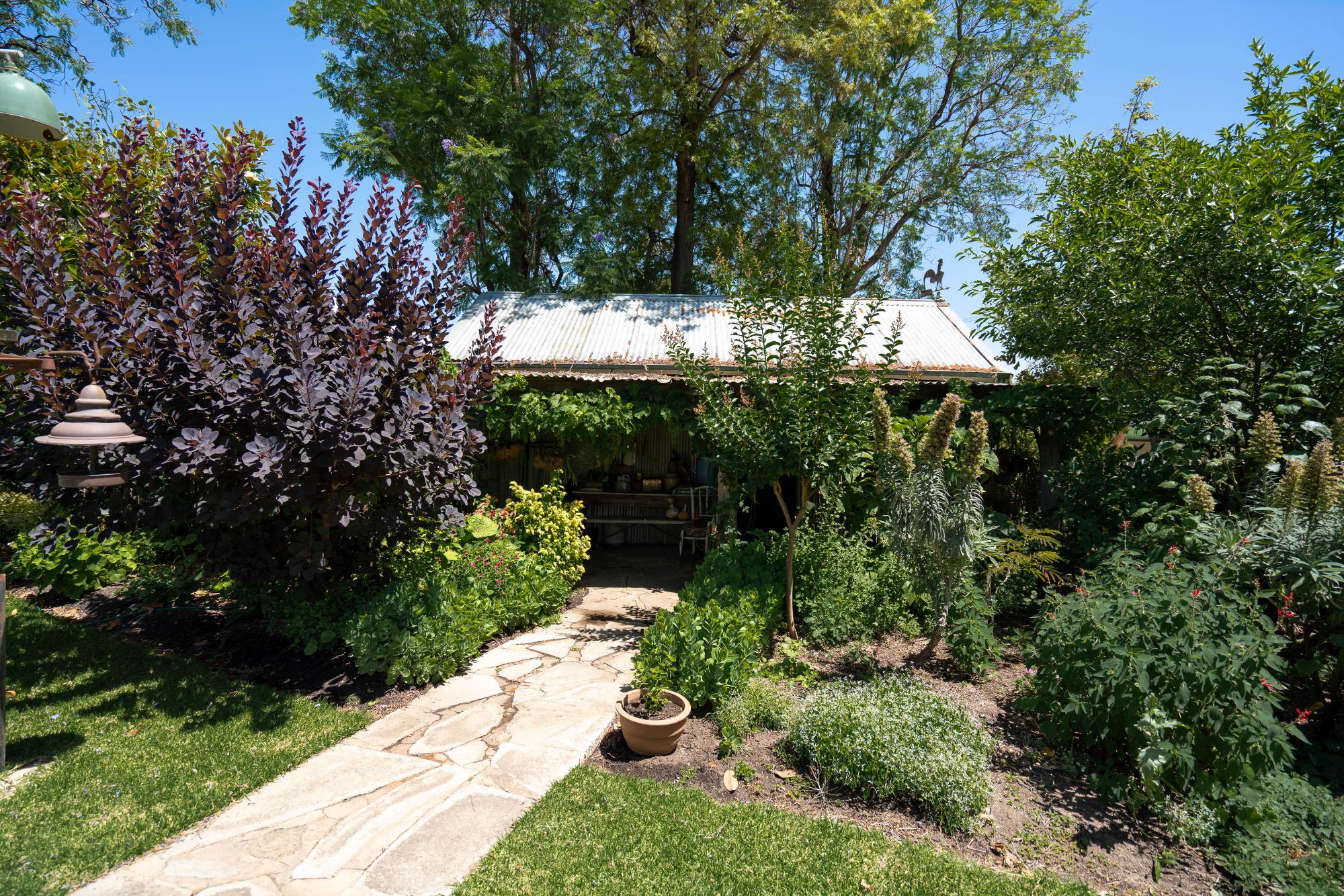 Path through garden to house